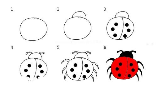 简单漂亮儿童昆虫儿童画图片七星瓢虫画法步骤