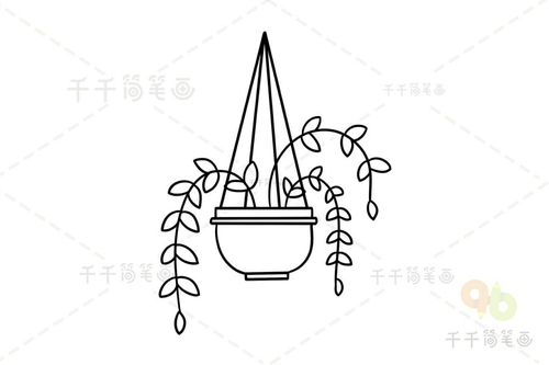 其它 吊兰 写美篇第四步:最后涂上颜色,吊兰简笔画就画好了!