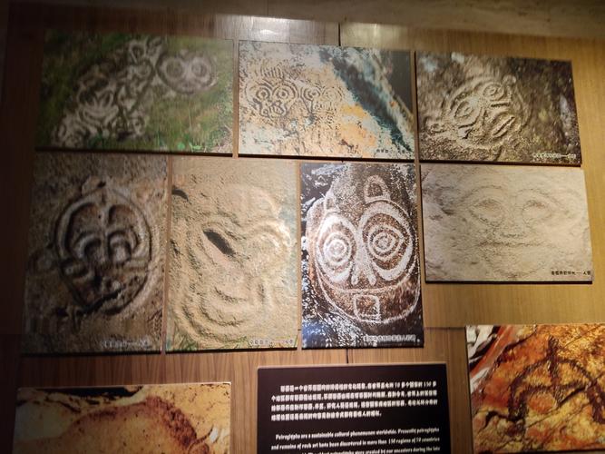 宁夏博物馆岩画