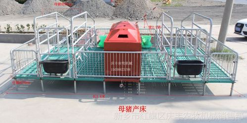 优质母猪产床保育床复合漏粪板复合保温箱