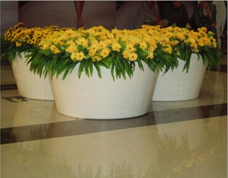 供应玻璃钢落地大花盆 花缸 花钵 酒店商场购物中心摆放花缸