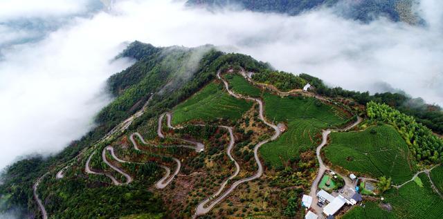 浙江仙居:山路弯弯通茶园 致富公路景如画