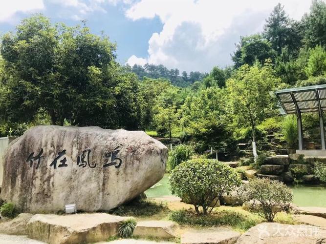 凤凰山森林公园-图片-安吉县周边游-大众点评网