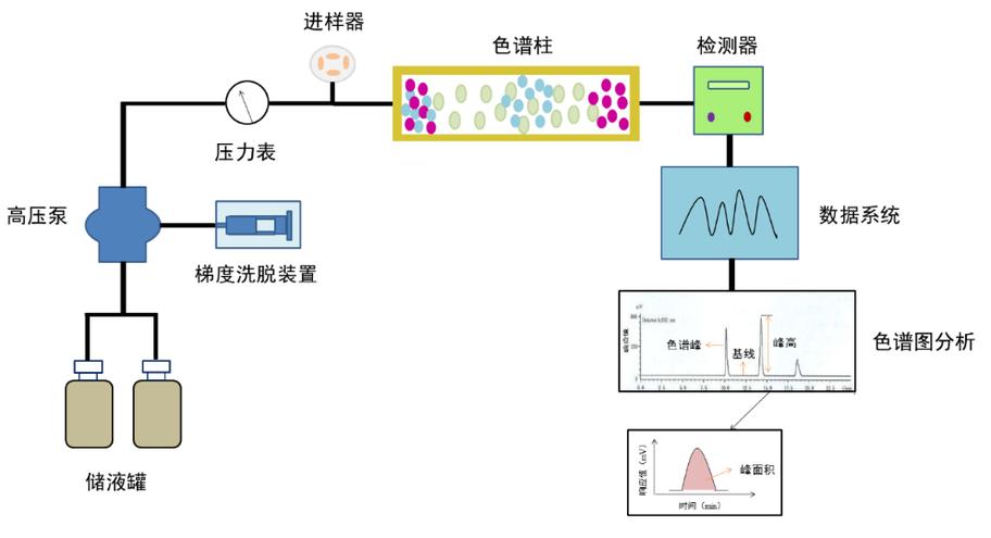 高效液相色谱的工作原理及常见类型