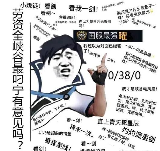 王者荣耀搞笑表情包