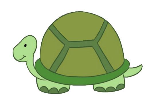 乌龟简笔画步骤教程