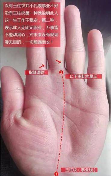 手相有玉柱纹,天生发财命,事业步步高升
