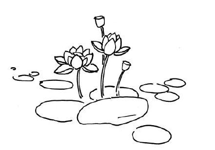 花卉画画 | 荷花简笔画绘画教程步骤,夏天来了,教你如何画美丽的荷花