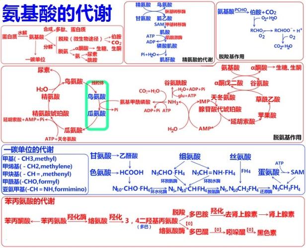 [转载]生物化学代谢联系图