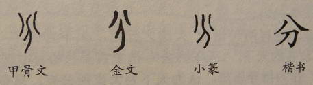 从甲骨文出发的"图画 故事"课21—— 一年级下册29课:分,殳,没,要,位