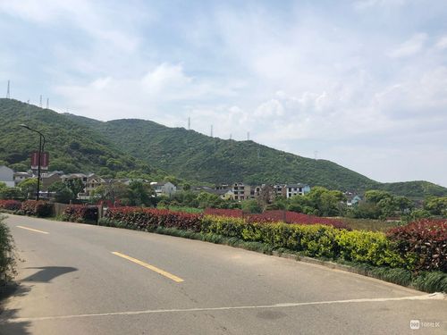           普陀干施岙宰客,拉客丢