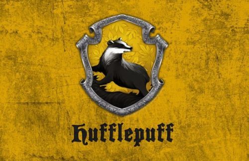 ­  赫奇帕奇学院