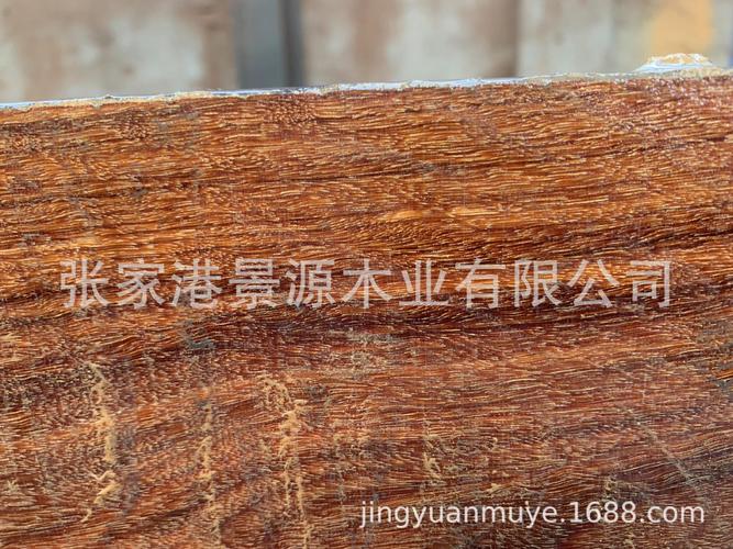 金星紫檀 澳洲紫檀 墨西哥黄金檀代替品黄金紫檀原木