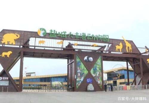 好消息:盐城大丰港动物园8月份全面开放!