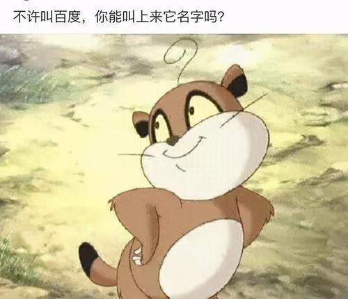 23.这家伙好像是叫小猪熊还是小浣熊吧?