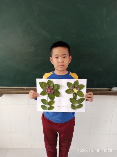 胡士庄寨学校四年级"走进五彩斑斓的秋天——有趣的树叶贴画"活动集影
