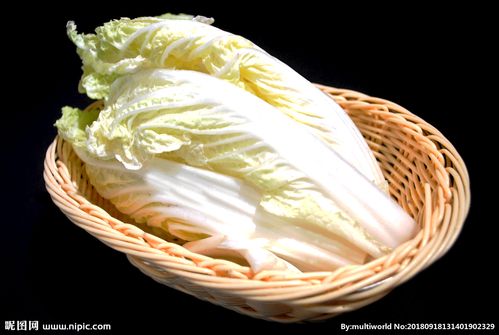 大白菜图片