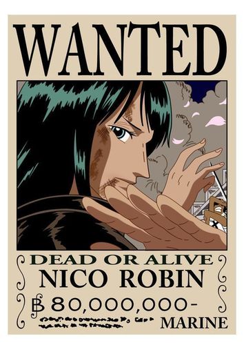 通缉令之——妮可·罗宾