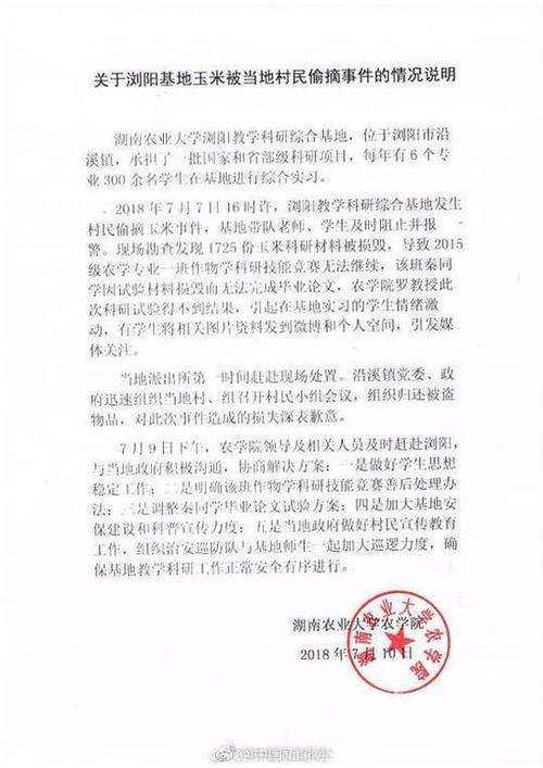 湖南农大价值千万科研玉米被偷 校方:调整论文方案