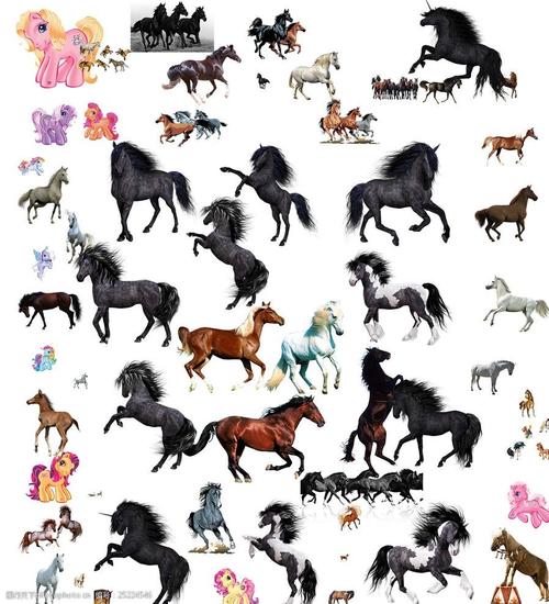 60个马的素材