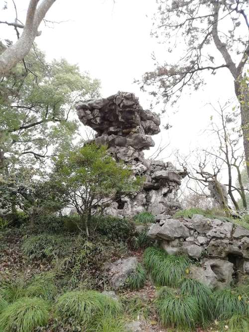 江南四大名石之一——坠云石.苏州园林讲究假山池沼的配合