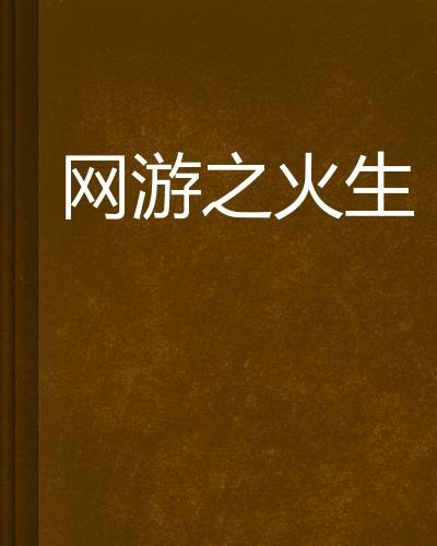 网游之火生