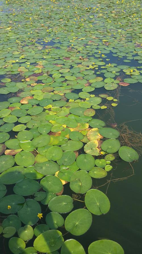 蓟县鱼桥水库