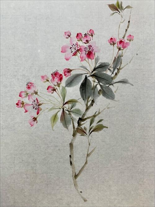 国画小写意折枝海棠花～_国画_海棠花_教程_艺术_国画