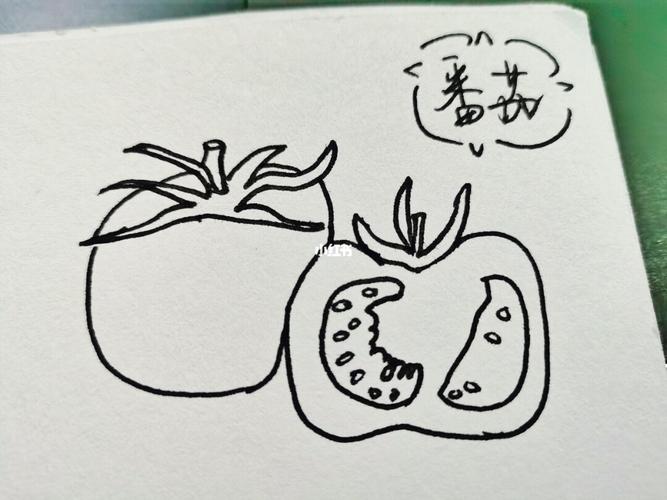 幼师day109---简笔画:番茄97_简笔画_幼师_炒蛋_文化_绘画