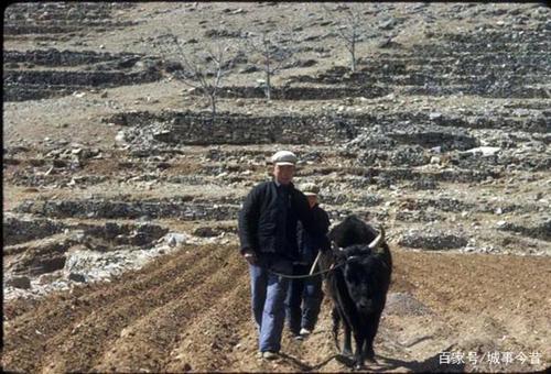 记忆中的70年代:老照片带您穿越到1972年的河北农村