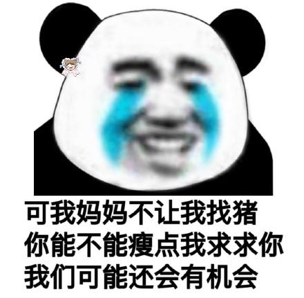 熊猫猫污污内涵表情包