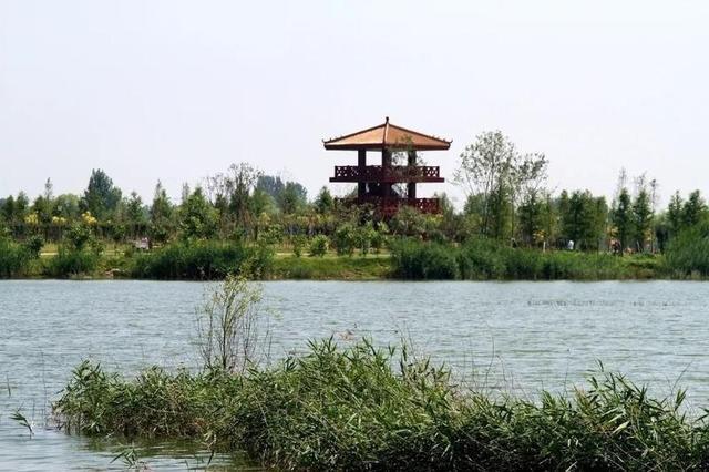 60秒看济宁丨来高新区这处湿地公园,邂逅"十里水乡"