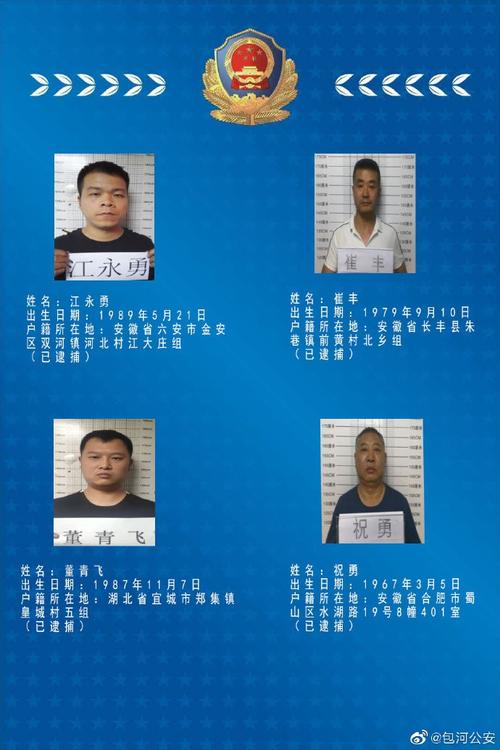 合肥这个犯罪团伙被团灭警方悬赏十万元征集犯罪线索