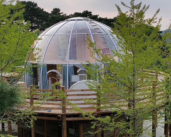 天津爆款星空房单价