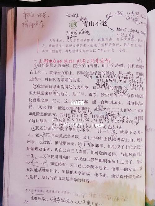 第19课笔记_教育_教育其他