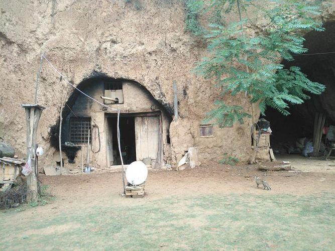 秦岭深山里的养蜂人,如今还住在这种破窑洞里!你能想象吗?