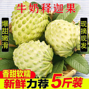 台湾牛奶释迦果新鲜5斤凤梨释迦水果当季番荔枝佛头果摩尼果海南
