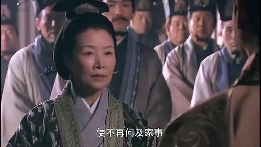 虎符传奇自家儿子挂帅出征而赵夫人却是这番态度