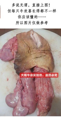 伟博牛欢喜新鲜男用母牛外阴牛子宫二姐碗口大嘴牛杂