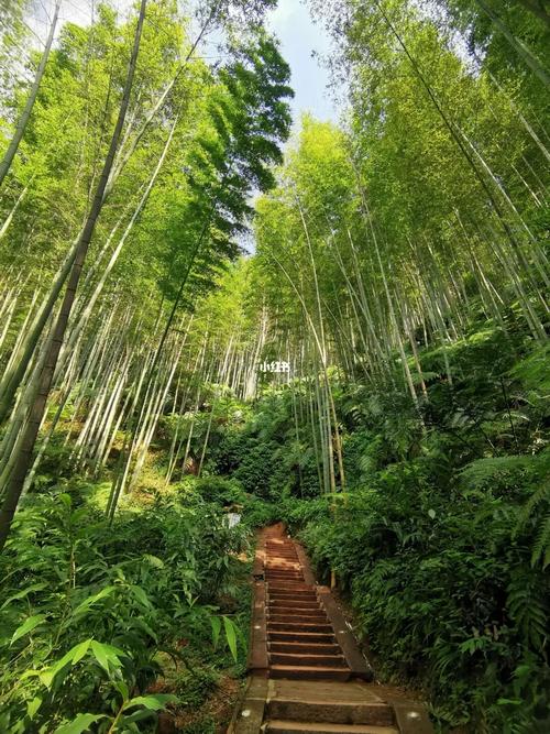 蜀南竹海—宜宾_瀑布_宜宾蜀南竹海_景点_九天瀑布自由行热门攻略_蜀
