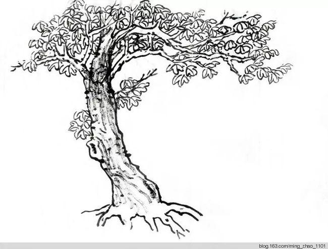 以上步骤完成以后,树木主体已具大形.