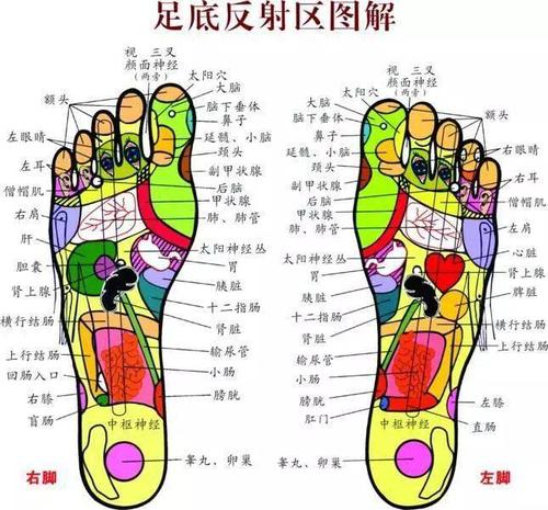 扫光体内寒湿气,比拔火罐强10倍!