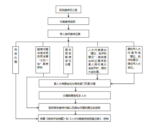 大流乡"人大代表接待选民日"工作流程图
