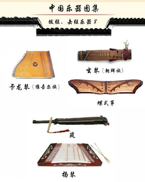 琵琶,火布斯,其布厄,月琴,曼多林,冬不拉,巴朗孜阔木,阮,秦琴,八角琴