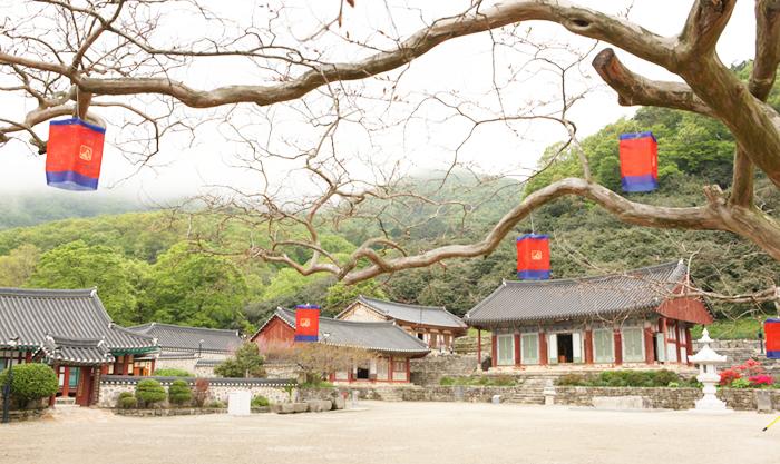 一次体验宗教,历史与艺术的韩国寺院之旅