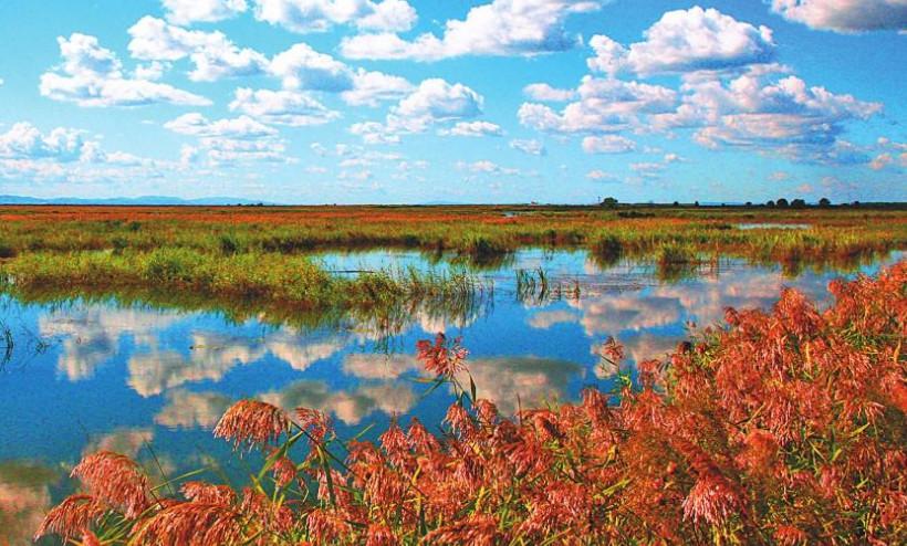 双鸭山一"得力干将",煤炭储量达86亿吨,被赞"北国天府