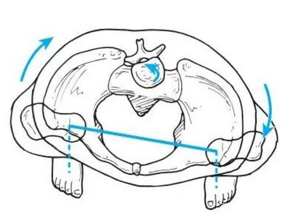 骨盆旋转之矫正与改善动作
