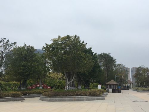 20190209泉港锦绣公园