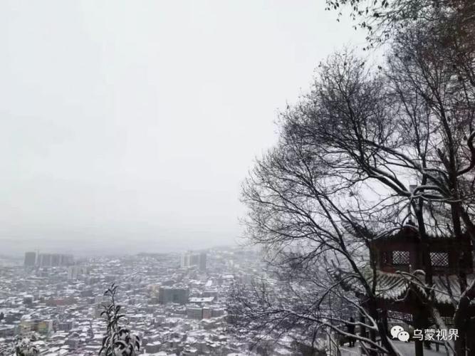 首场中雪落威宁,最美雪景看这里!