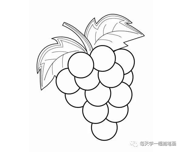 每天学一幅简笔画-一大波水果简笔画图片大全存起来教